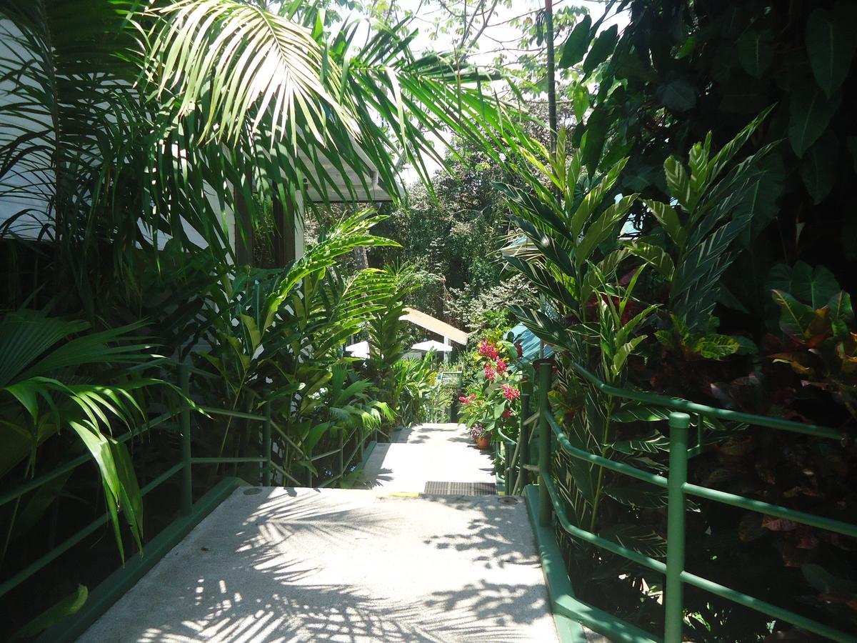 Hotel Mandarina Quepos Eksteriør billede
