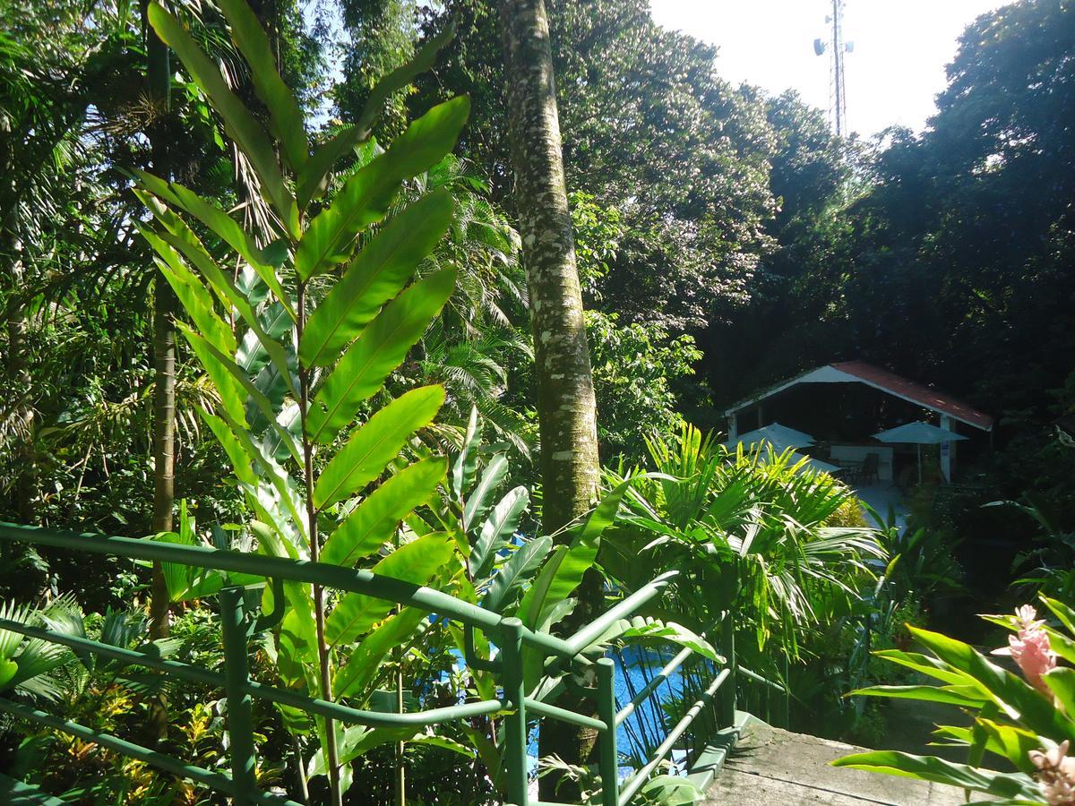 Hotel Mandarina Quepos Eksteriør billede