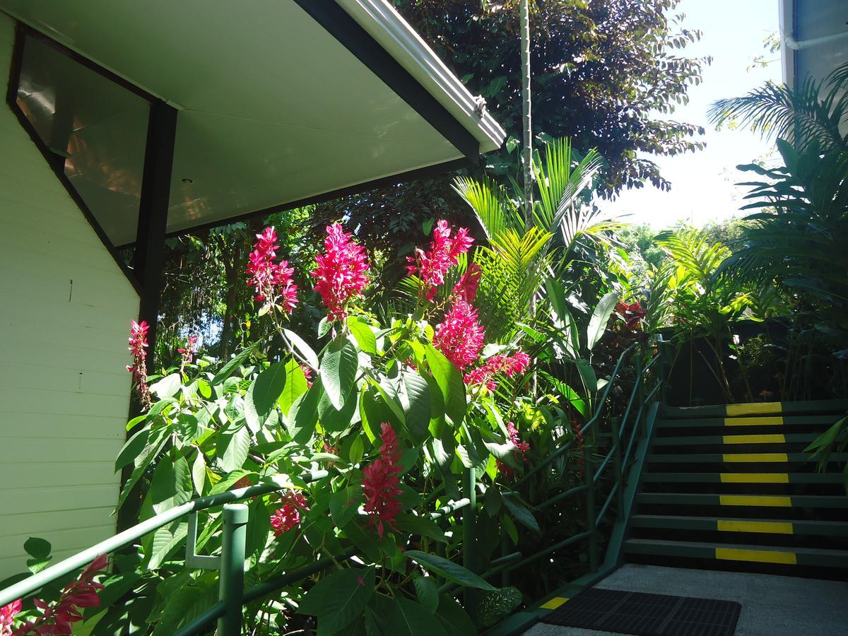 Hotel Mandarina Quepos Eksteriør billede