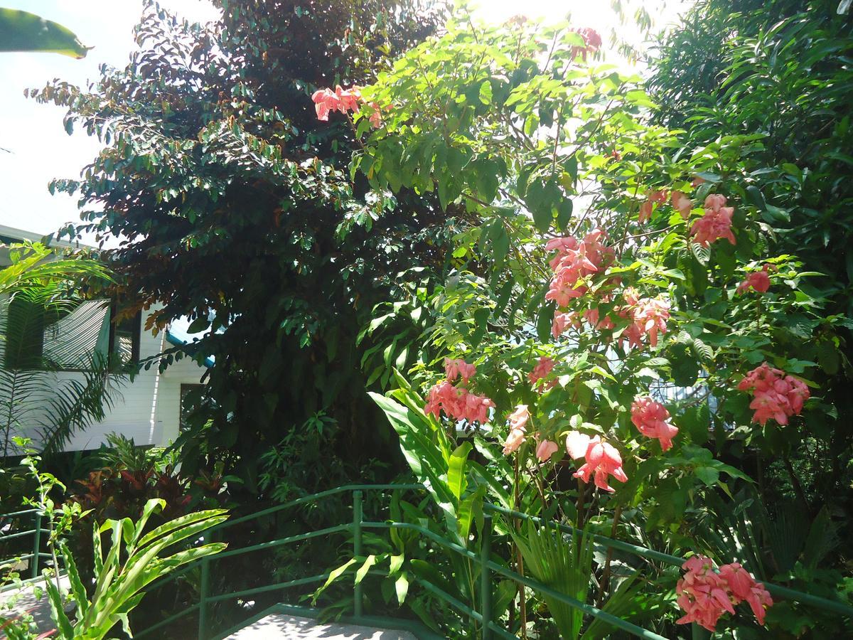 Hotel Mandarina Quepos Eksteriør billede