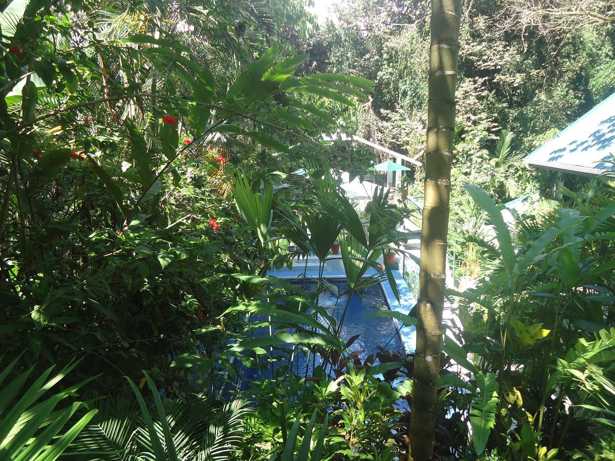 Hotel Mandarina Quepos Eksteriør billede