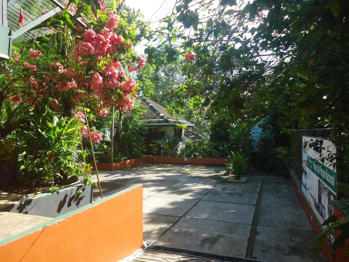 Hotel Mandarina Quepos Eksteriør billede