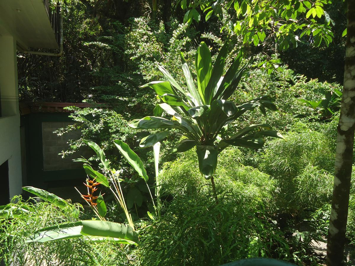 Hotel Mandarina Quepos Eksteriør billede