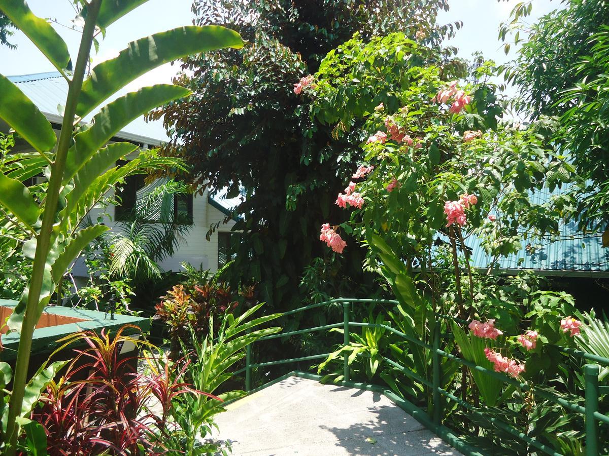 Hotel Mandarina Quepos Eksteriør billede