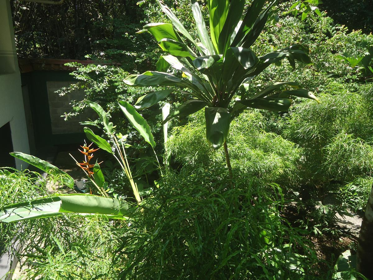 Hotel Mandarina Quepos Eksteriør billede